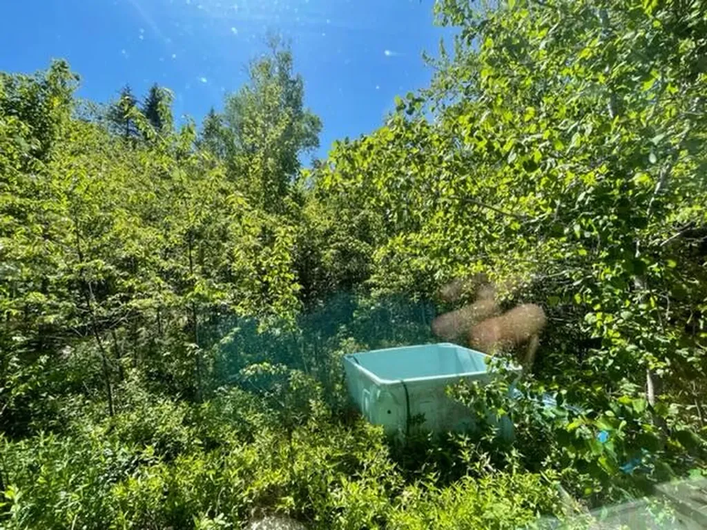51 Greenhouse Road Trescott Twp ME 04652