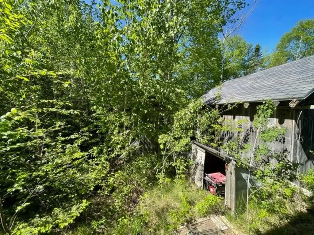 51 Greenhouse Road Trescott Twp ME 04652