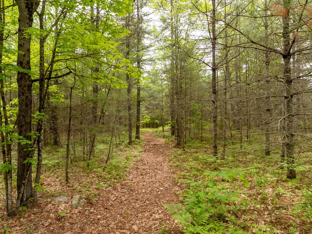 29 Natures Way Standish ME 04085