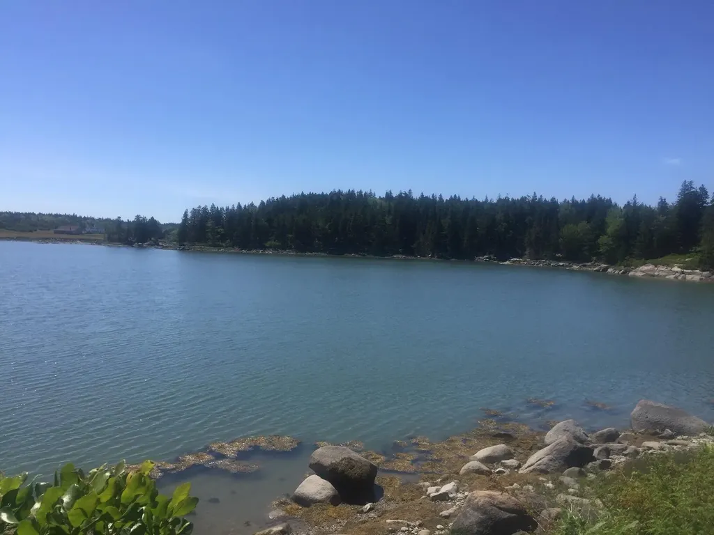 45 Calderwood Neck Road Vinalhaven ME 04863