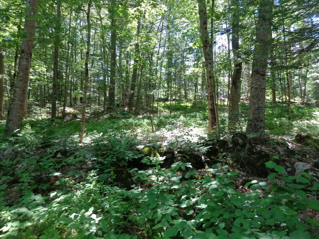 186 Back Meadow Road Nobleboro ME 04555
