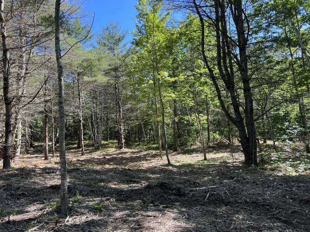 70 Calderwood Road Washington ME 04574
