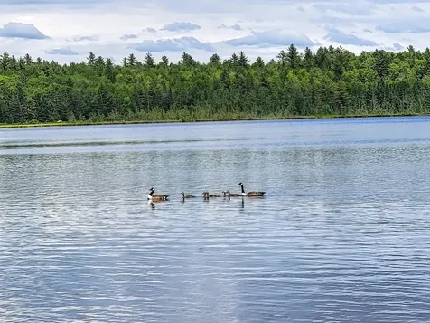 534 Horseshoe Pond Road Brownville ME 04414