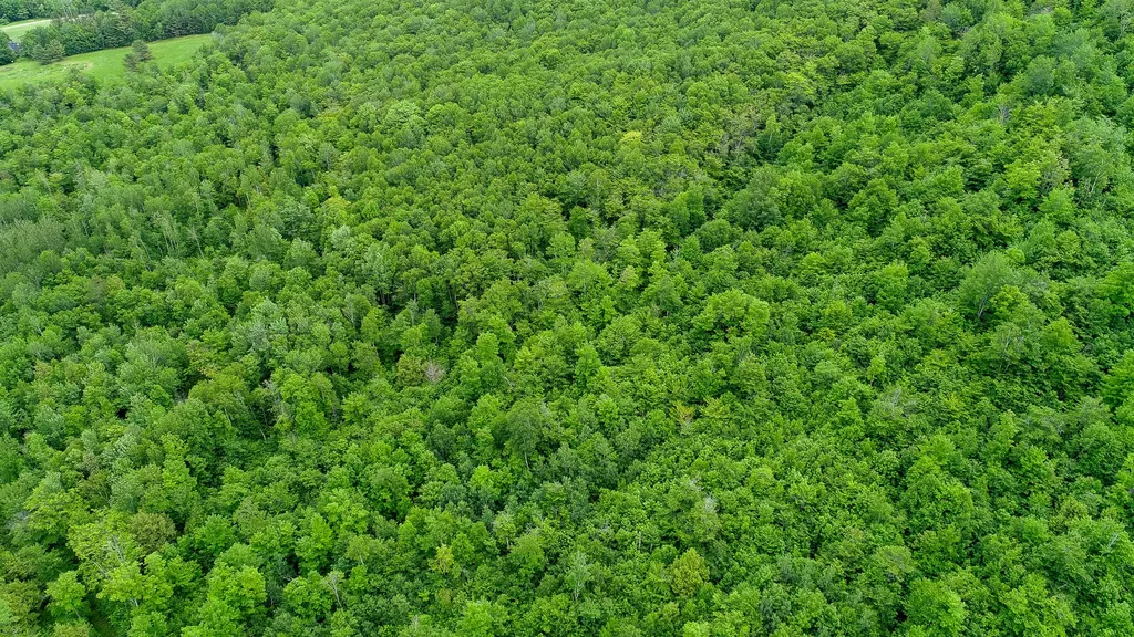 Map 402 Lot 10 Rumford ME 04276