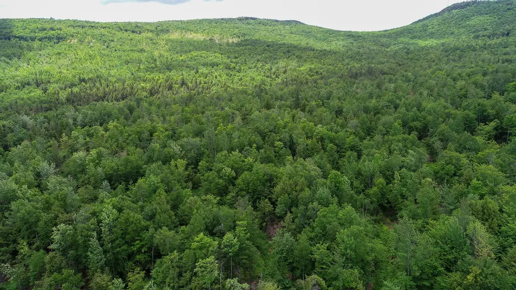 Map 7 Lot 3 Route 120 Mexico ME 04257