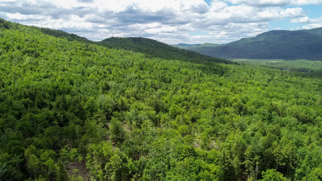 Map 402 Lot 8 Road Rumford ME 04276