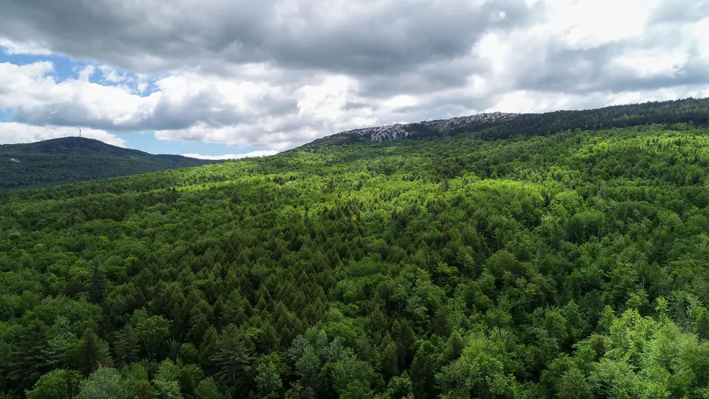 Map 402 Lot 8 Road Rumford ME 04276