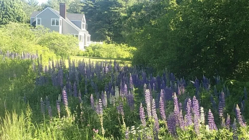 125 Emmons Road Kennebunk ME 04043