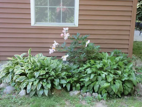 855 Bridgton Road Sebago ME 04029