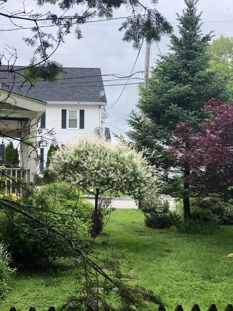 16 Pleasant Street Rockland ME 04841