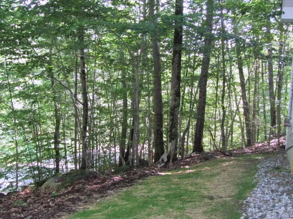 52 Andrews Road Sumner ME 04292