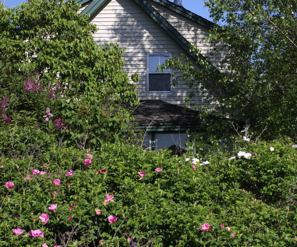 831 Reach Road Brooklin ME 04616