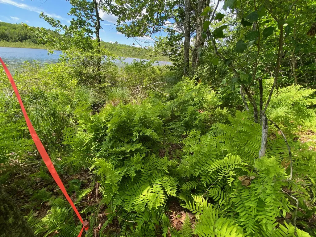 357 Dunn Road Belgrade ME 04917