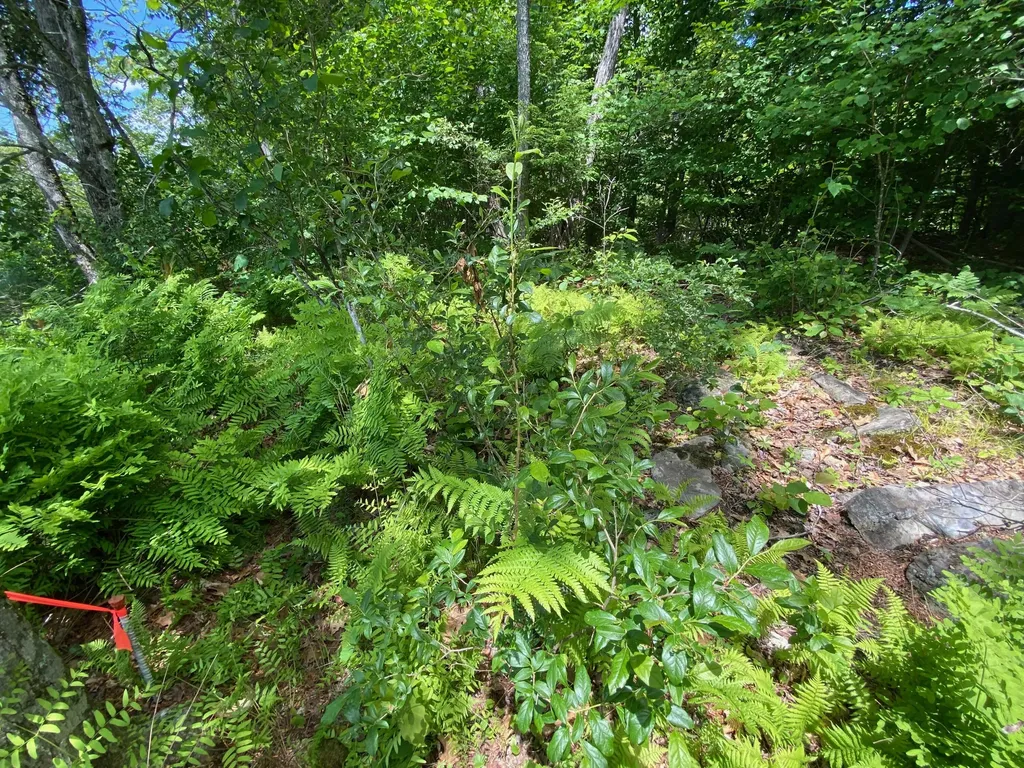 357 Dunn Road Belgrade ME 04917
