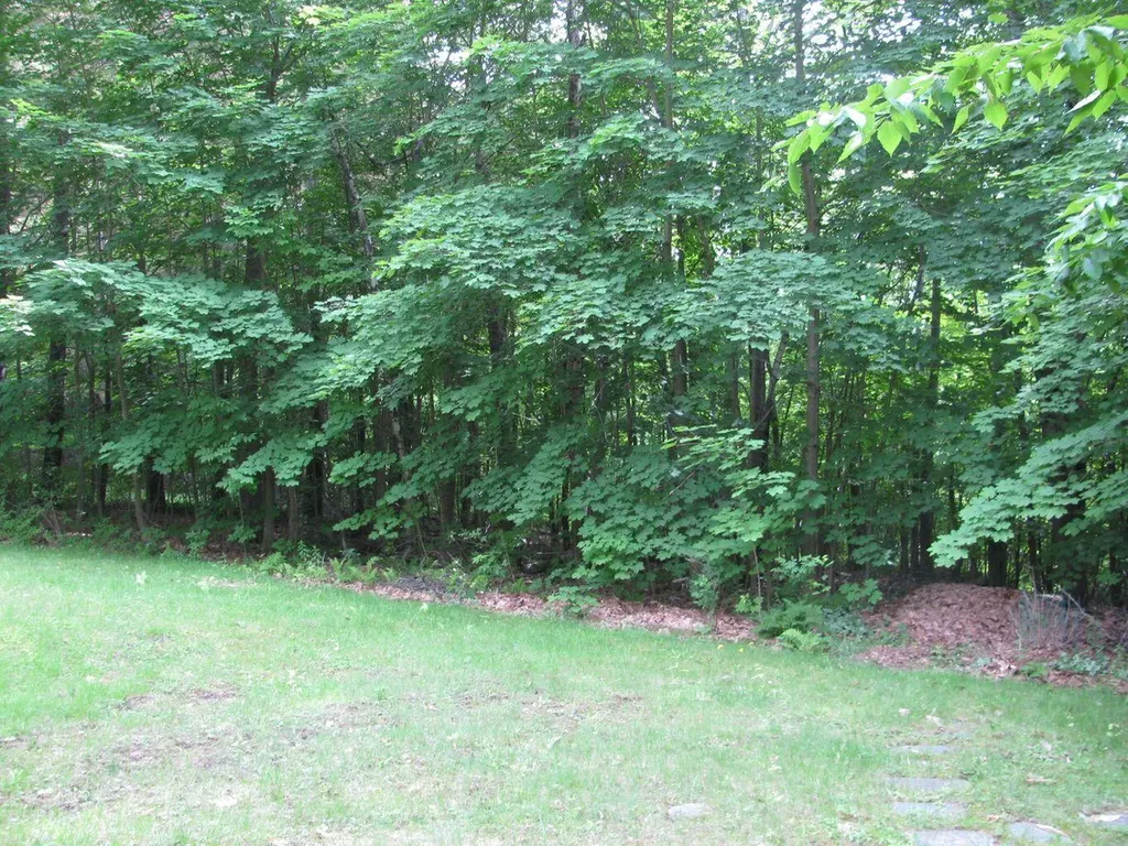 339 Webster Street Lewiston ME 04240