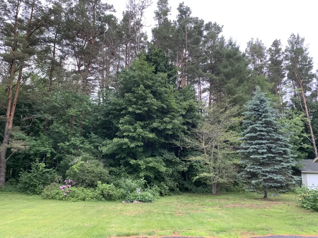 35 Dunning Boulevard Bangor ME 04401
