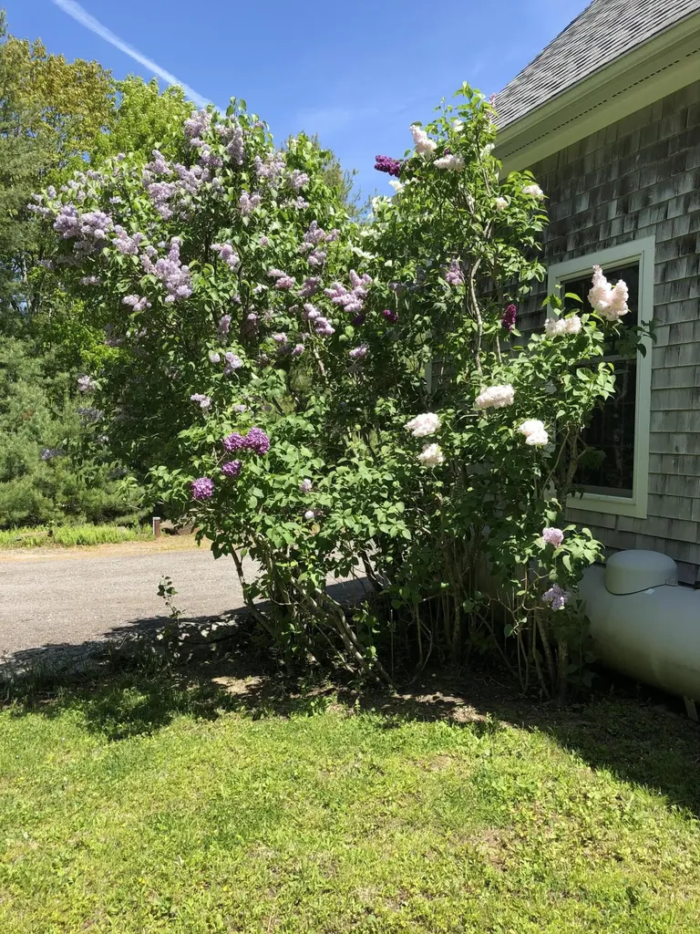 33 Herbert Drive Phippsburg ME 04562