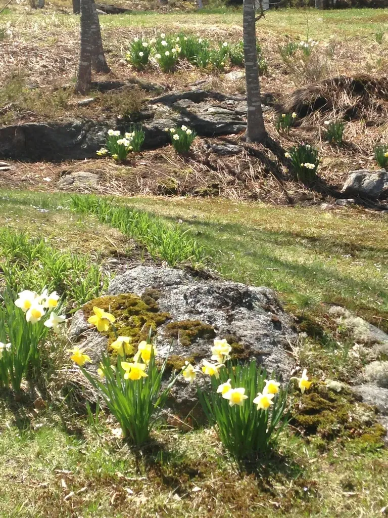 33 Herbert Drive Phippsburg ME 04562