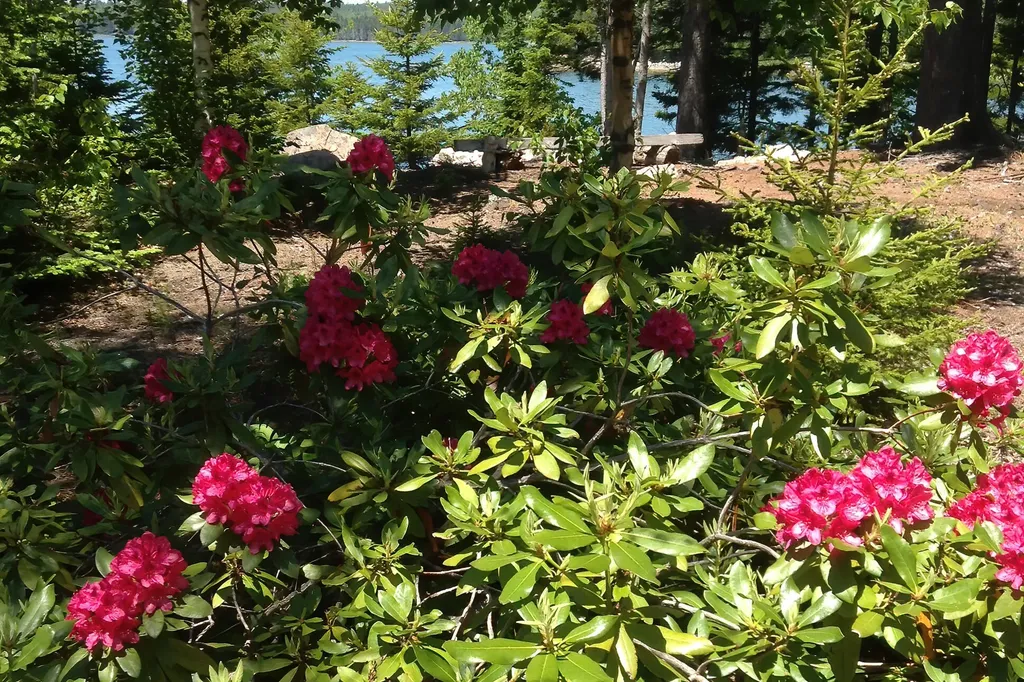 98 Sunset Bay Drive Steuben ME 04680