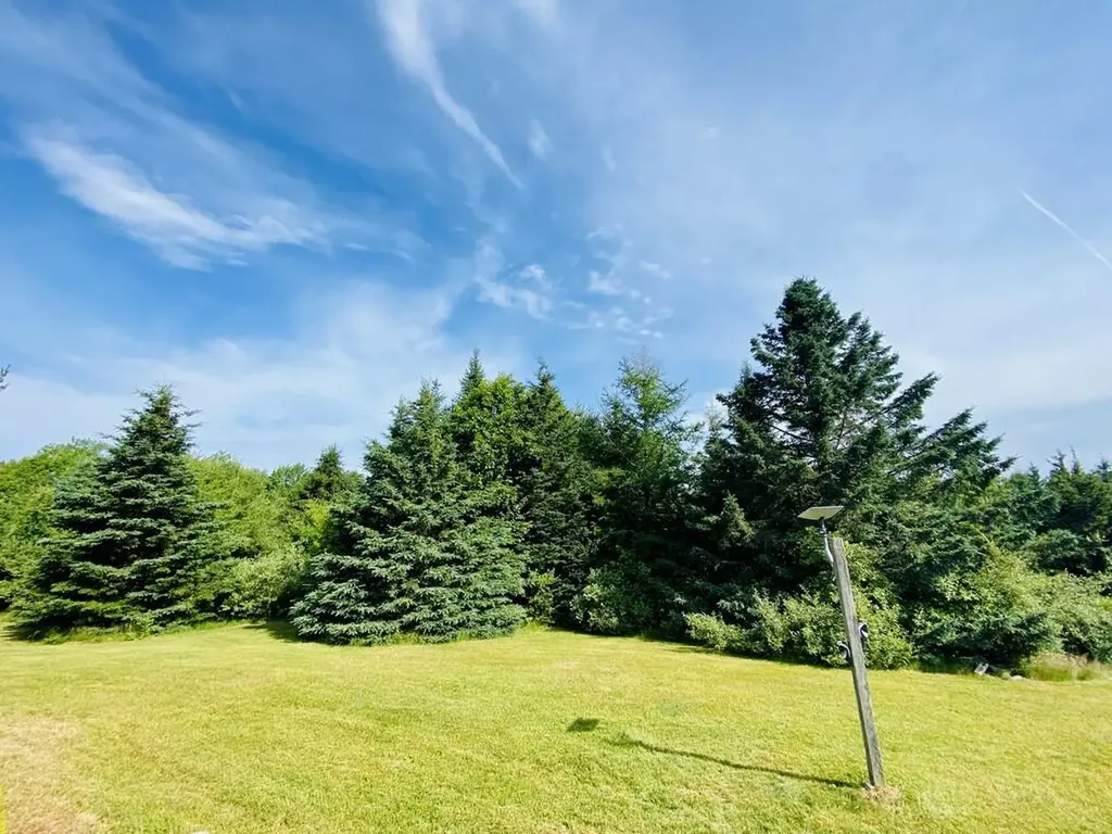 355 Back Ridge Road Orland ME 04472