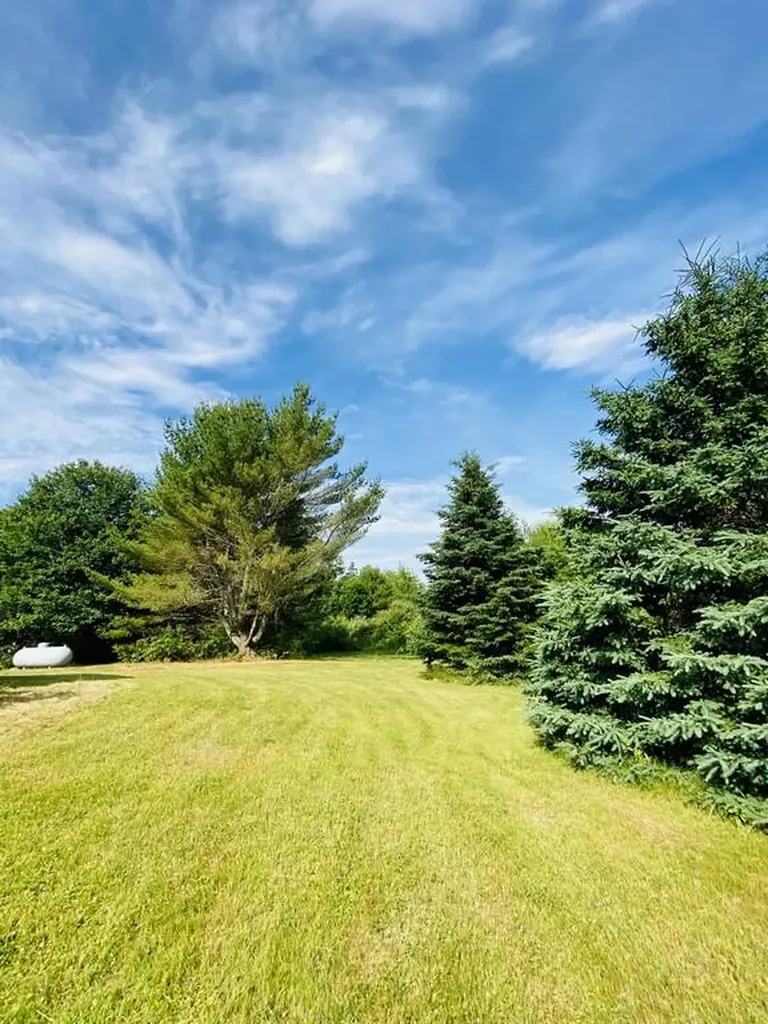 355 Back Ridge Road Orland ME 04472