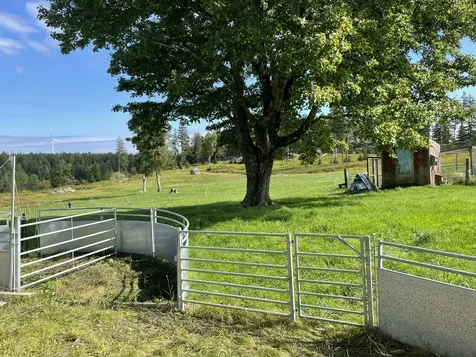 137&187 Long Cove Road Vinalhaven ME 04863