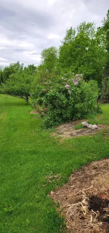101 Cambridge Road Dexter ME 04930