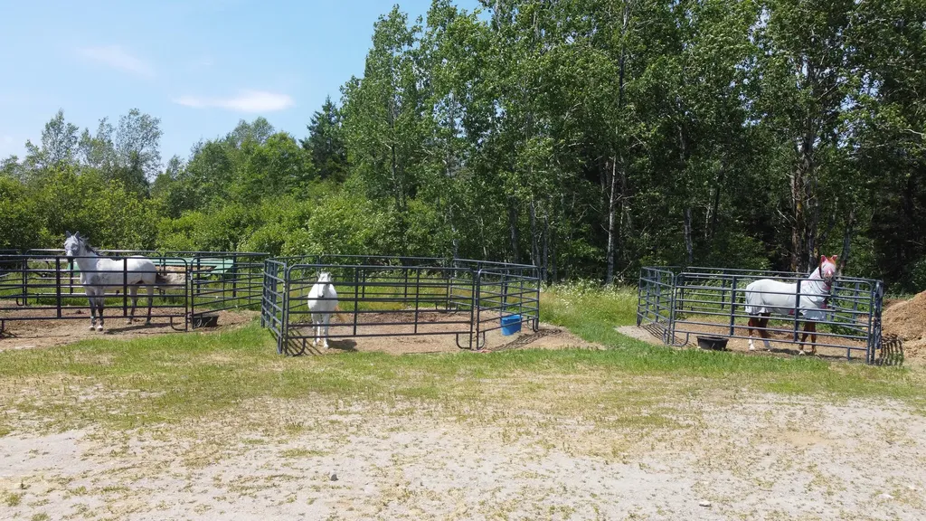 452 Milbridge Road Cherryfield ME 04622