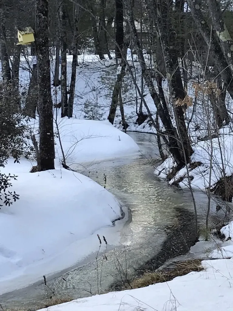 62 Lake View Loop Brownfield ME 04010
