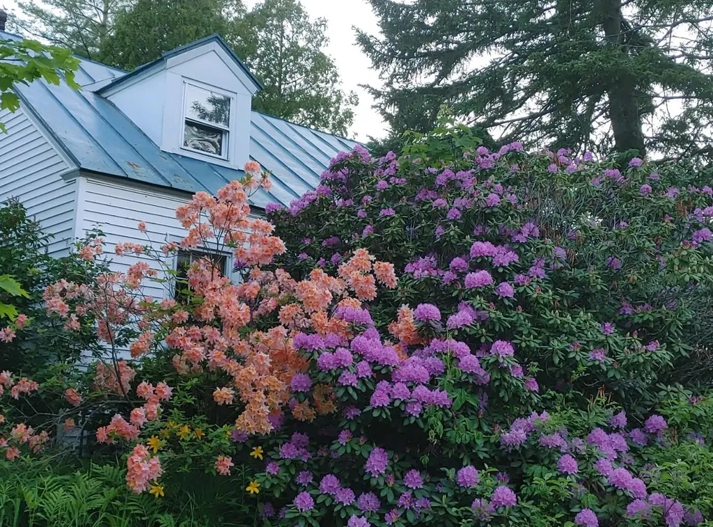 20 Edgewood Street Waterville ME 04901