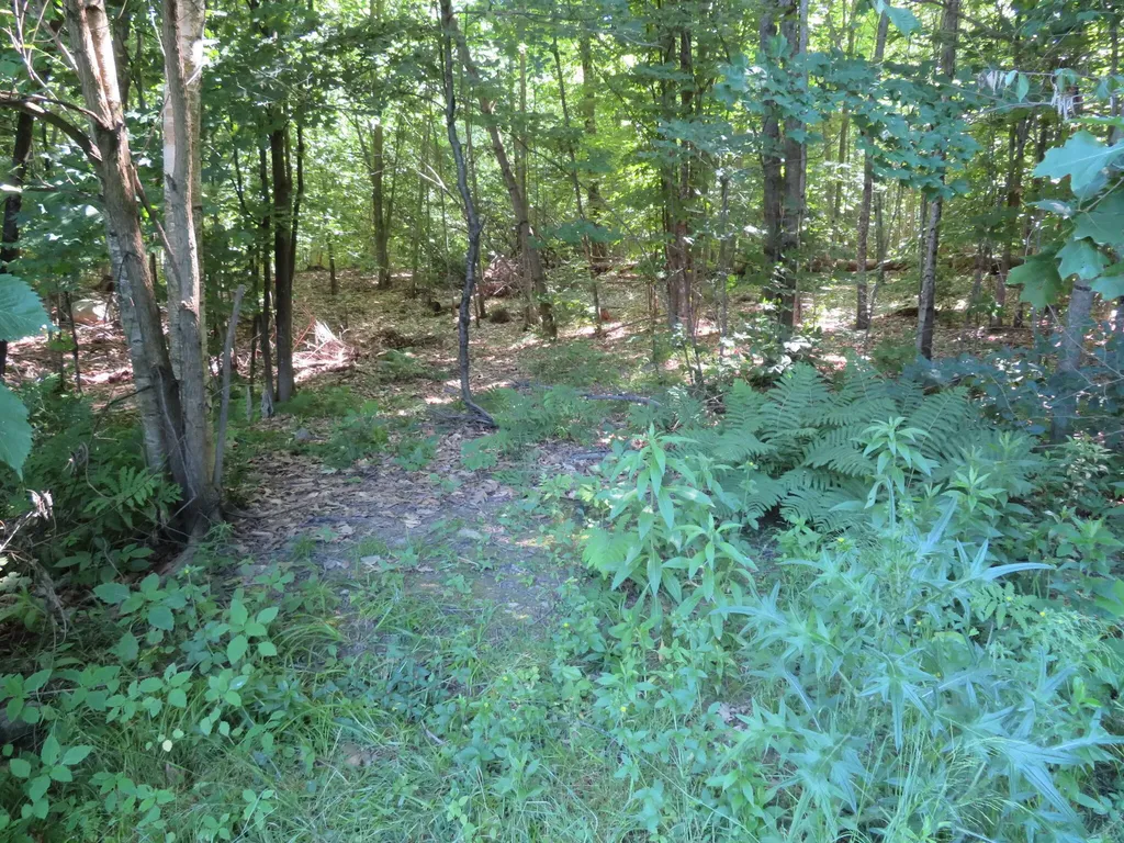 8 Two Rod Road Gray ME 04039