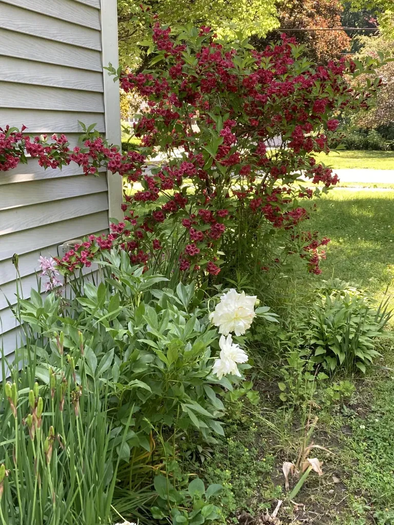 11 Winchester Street Fairfield ME 04937