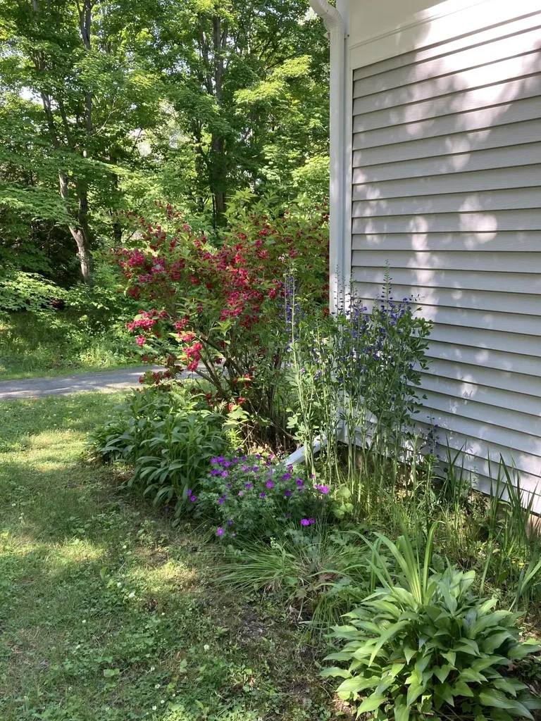 11 Winchester Street Fairfield ME 04937