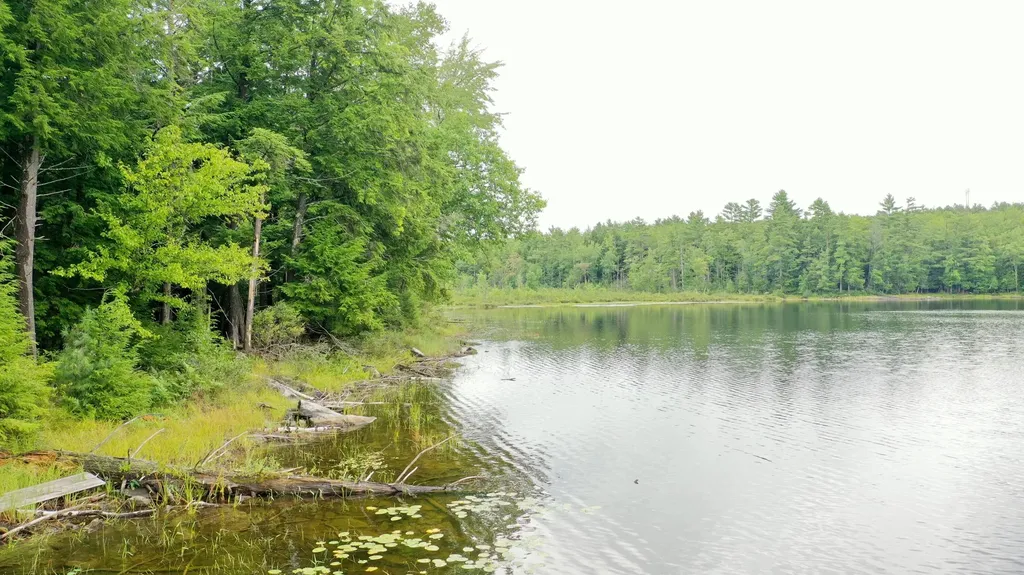46 Brook Trout Lane Mount Vernon ME 04352