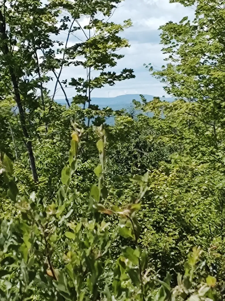 000 Huff Hill Road E Hartland ME 04943