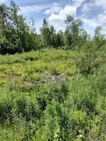 000 Huff Hill Road E Hartland ME 04943