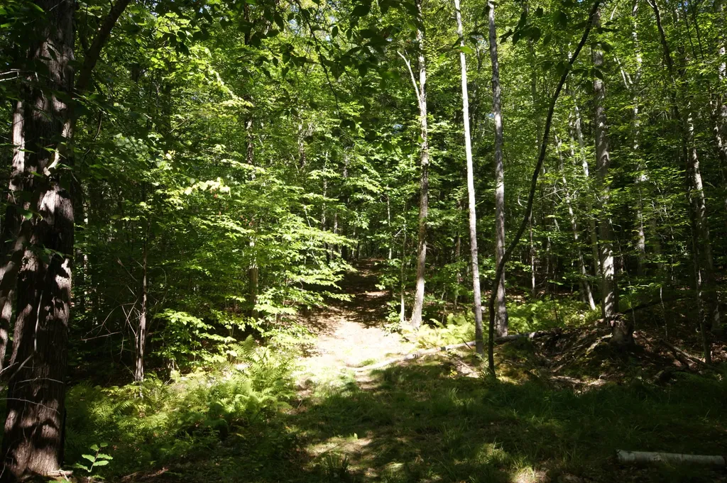 795 Knights Hill Road Sweden ME 04040