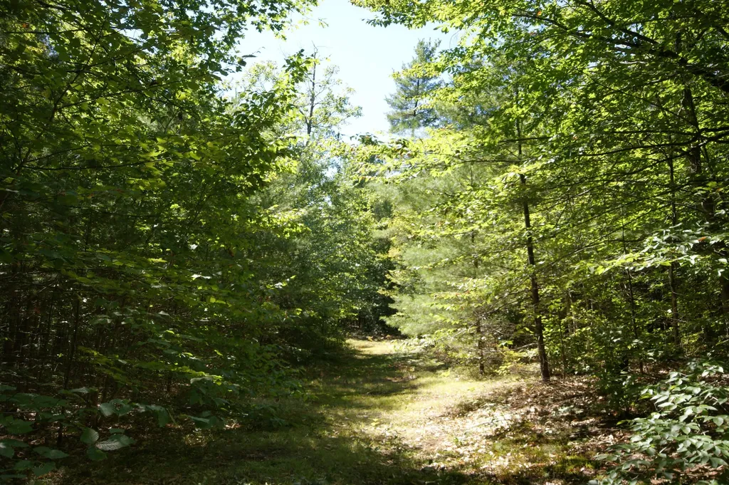 795 Knights Hill Road Sweden ME 04040