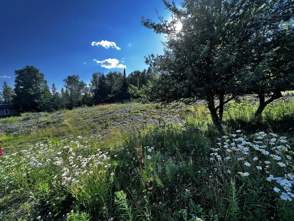 74 Allen Street Rangeley ME 04970