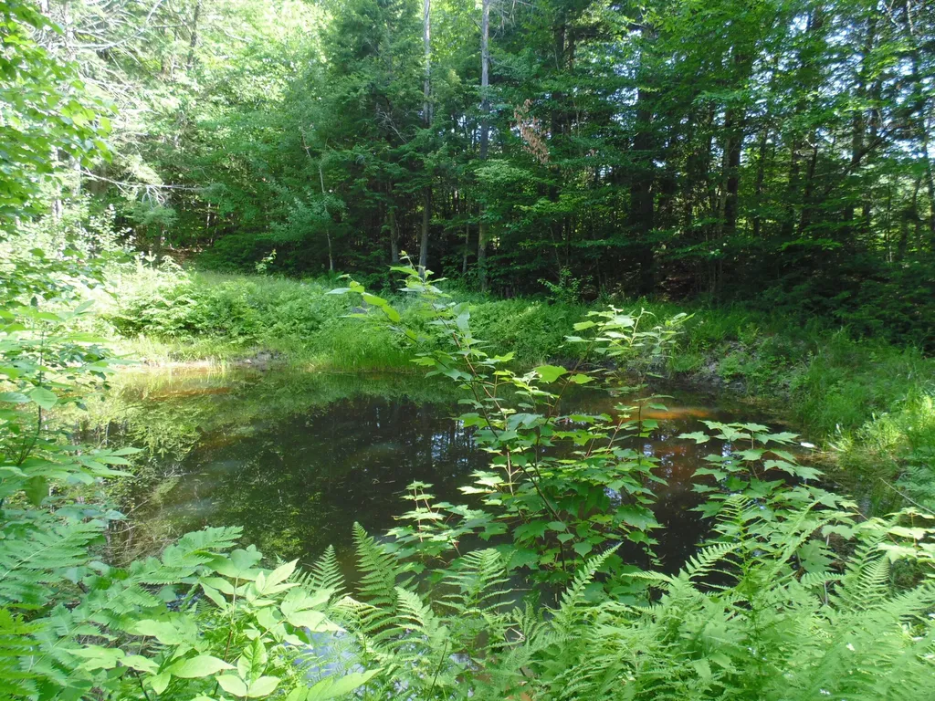 21 Brookview Drive Bucksport ME 04416