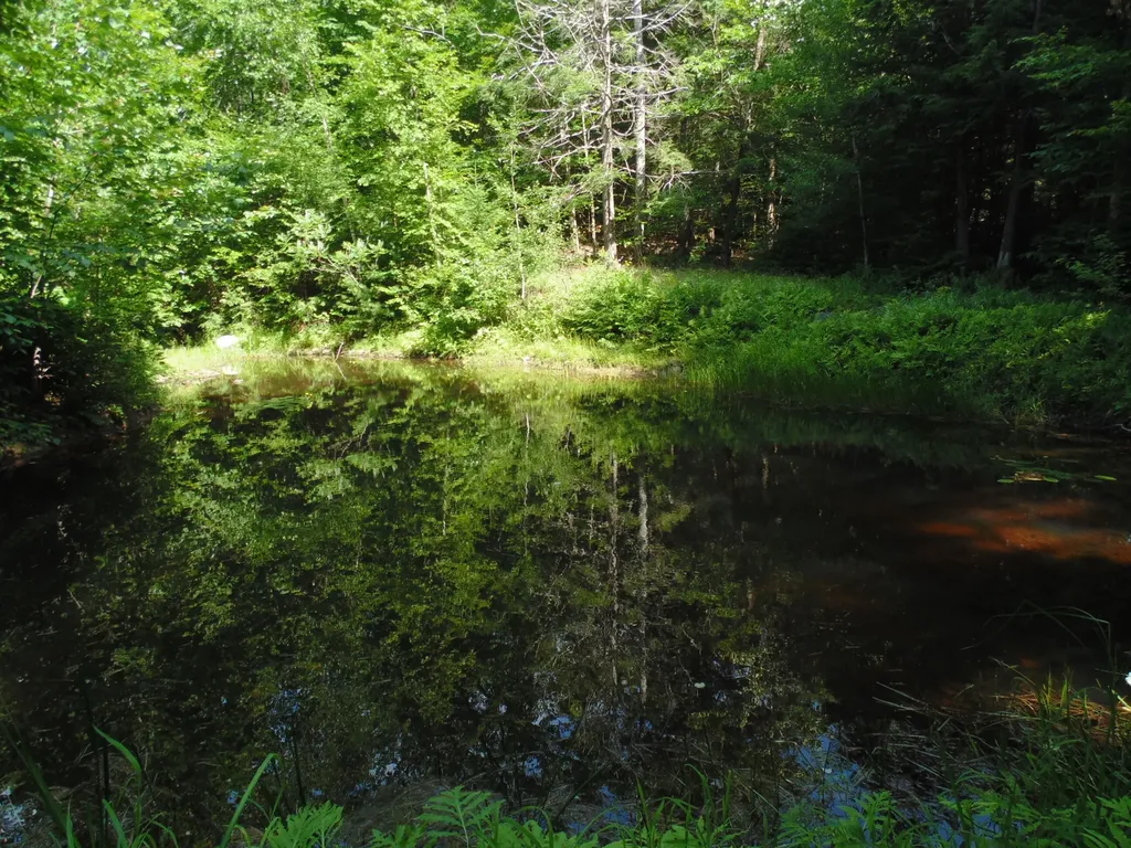21 Brookview Drive Bucksport ME 04416