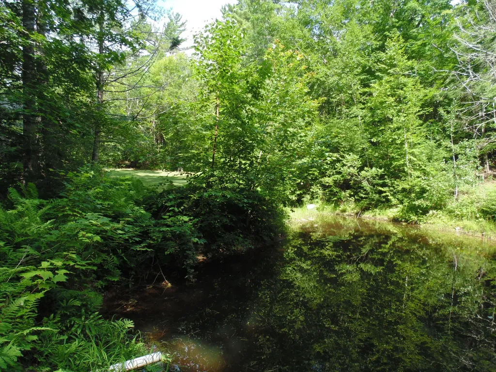 21 Brookview Drive Bucksport ME 04416
