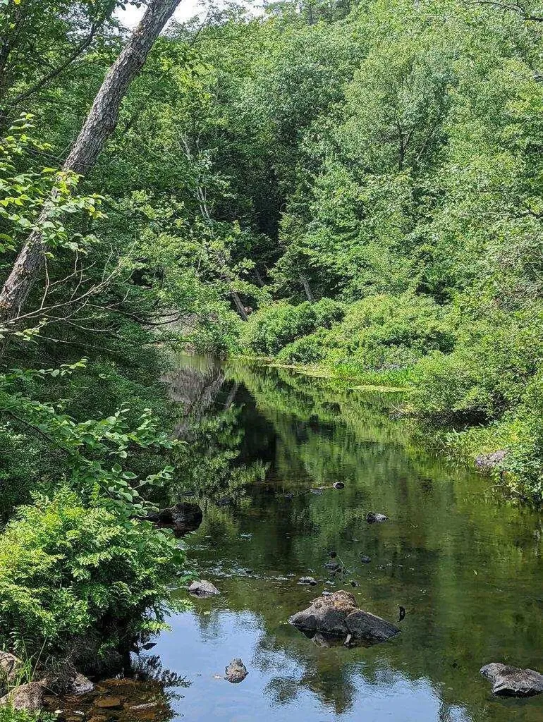 21 Brookview Drive Bucksport ME 04416
