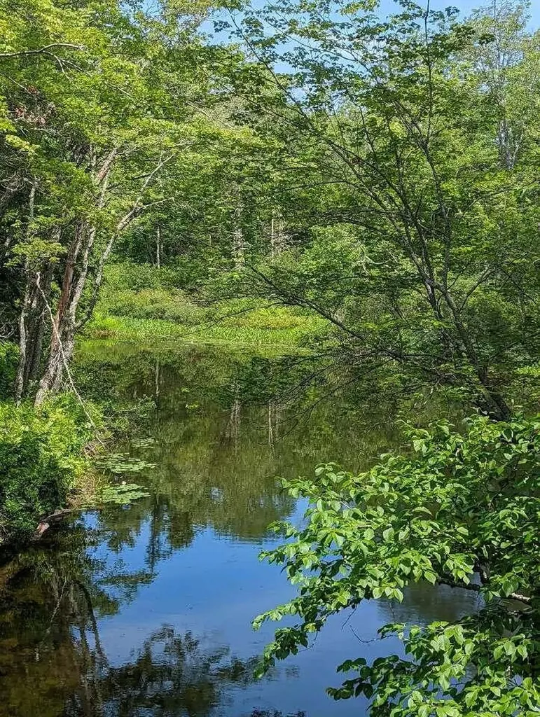 21 Brookview Drive Bucksport ME 04416
