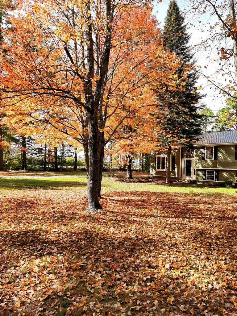 102 Hanscomb School Road Limington ME 04049