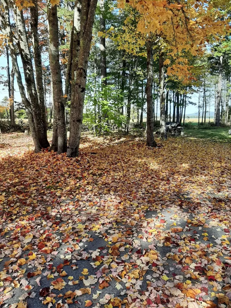 102 Hanscomb School Road Limington ME 04049