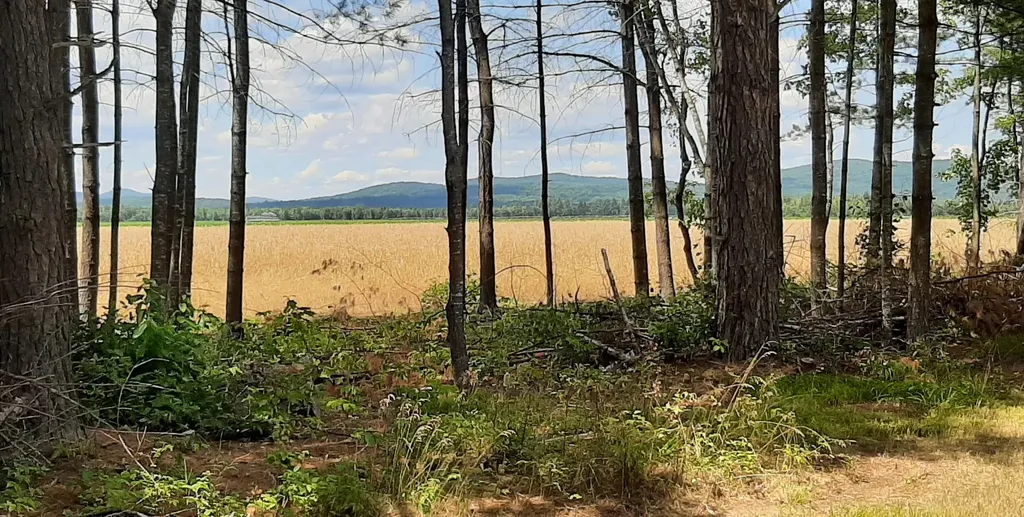 102 Hanscomb School Road Limington ME 04049