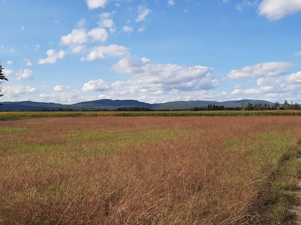 102 Hanscomb School Road Limington ME 04049