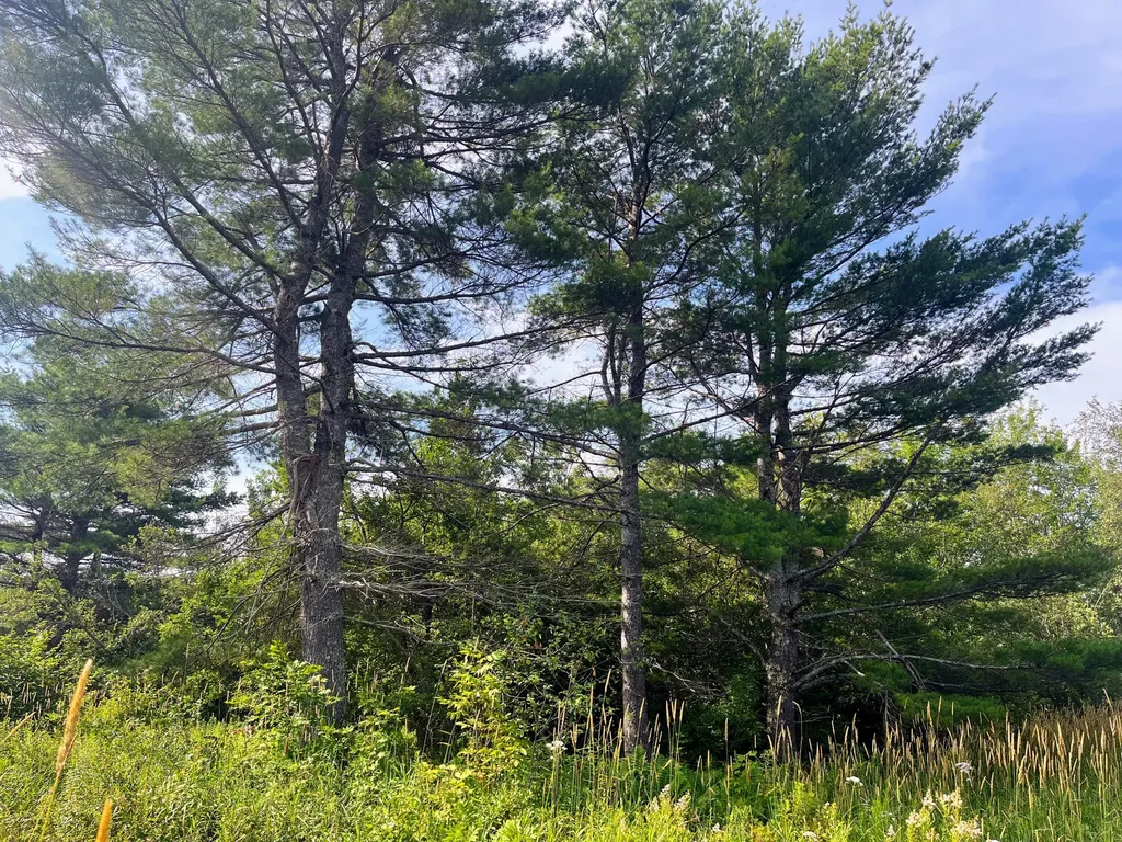 0 Belfast Road Lincolnville ME 04849