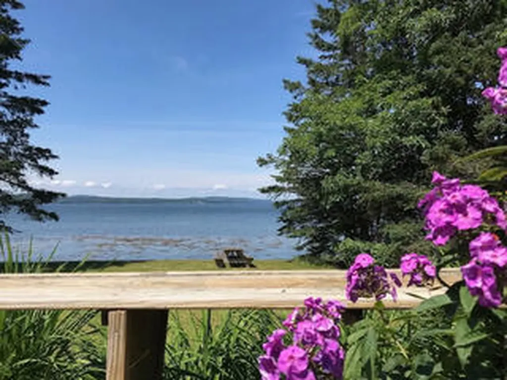 121A Wilson Point Road Castine ME 04421